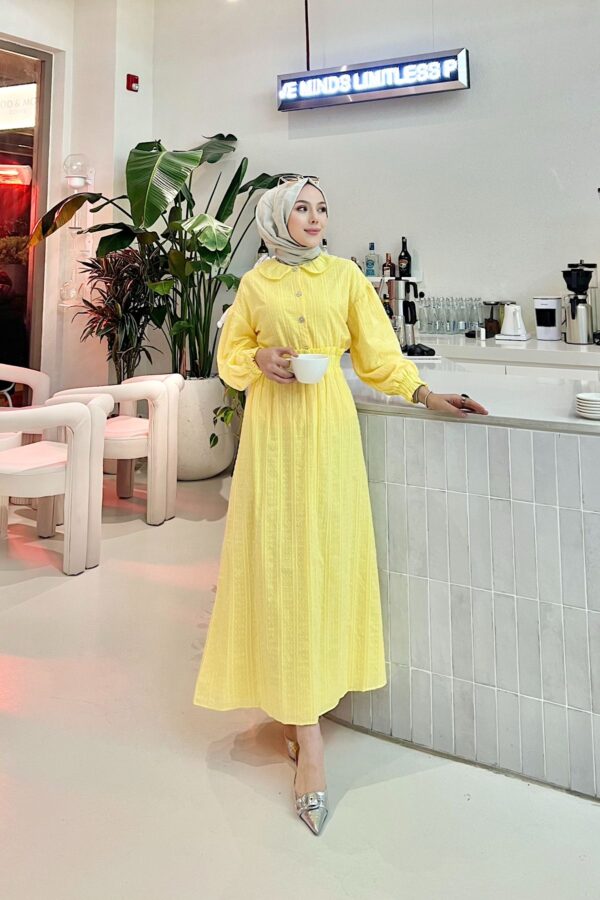 Zarafetin ve ışıltının buluştuğu Aurora Elegance bebe yaka sim detaylı elbise takım. 5 renk seçeneği ve 36-44 beden aralığıyla şimdi keşfedin!